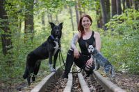 Dogwalk Gassiservice Hundeauslauf Hundesitter Berlin Prenzlauer Berg Pankow Wei&szlig;ensee