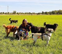 Dogwalk Gassiservice Hundeauslauf Hundesitter Berlin Prenzlauer Berg Pankow Wei&szlig;ensee